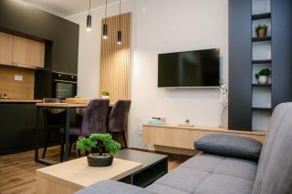 Vila Lena Apartman broj 2 - Vrdnik - 9