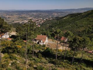 Casa do Bosque - Covilhã - 9