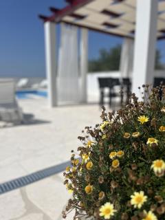 Villa Villa Nadin - Nadin - 8