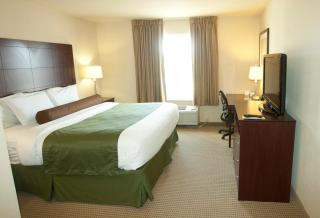 Cobblestone Inn & Suites - Langdon - Langdon - 9