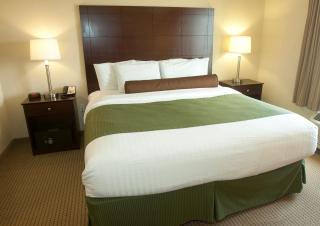 Cobblestone Inn & Suites - Langdon - Langdon - 6