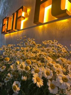 Elif Plaza hotel Toshkent - Katartal - 8