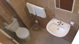 Hotel Plaza Aleman - León - 9
