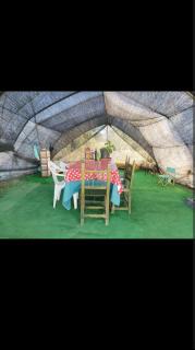 Caravana acogedora con piscina "Amantes de la naturaleza" - 4