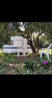 Caravana acogedora con piscina "Amantes de la naturaleza" - Almonte - 9