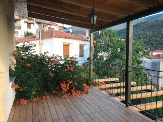 lemon garden with view - Kallirakhi - 7