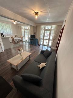 Pine Peak Apartments - Predeal - 2