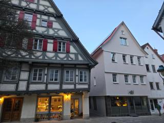 Holiday&Stay, Blautopf Apartments - Blaubeuren - 8