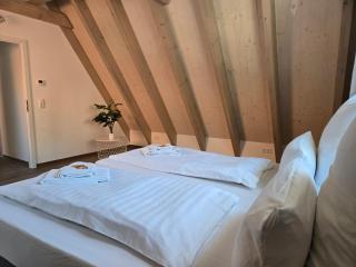 Holiday & Stay, Blautopf Apartments - Blaubeuren - 6