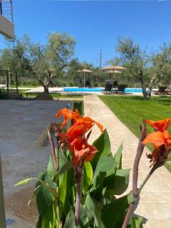 Three Charites Resort - Gialova - 1