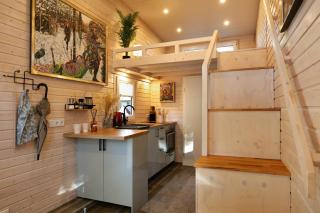 Tiny House Nr 1 - Schwielowsee - 1