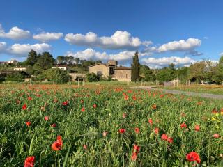La Distillerie - Couffoulens - 9