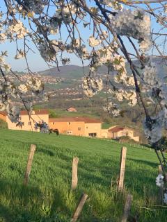 Gîte Belle Vue à Savigny proche de Lyon - 0