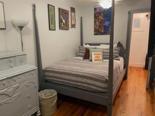 Ray's Bucktown Bed and Breakfast - Chicago - 8
