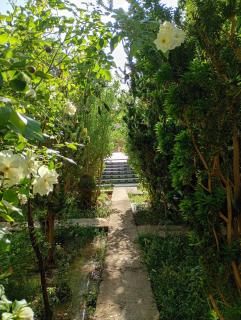 Ecolodge du Draa - Ouled Otmane - 8