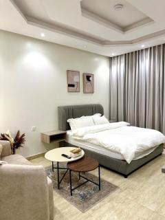 Elite Studio in AlMalqa District - Riad - 2