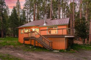 Cub House- Remodeled cabin INSIDE Yosemite with new hot tub and more - North Wawona - 7