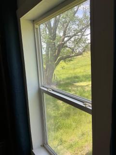 Mountain View Cottage - Ashland - 1