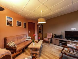 Villa in Backemoor with Sauna and Bubble Bath - Krinkelt - 2