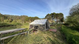 Glamping tent on the river - Klamath - 3