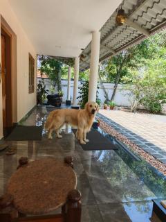 Angel Homestay Paravoor - Alleppey - 1
