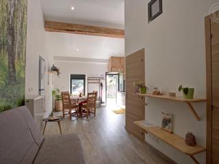 Gîte de charme 18ème avec spa et terrasse, St-Julien-Molin-Molette - FR-1-496-335 - Saint-Julien-Molin-Molette - 7