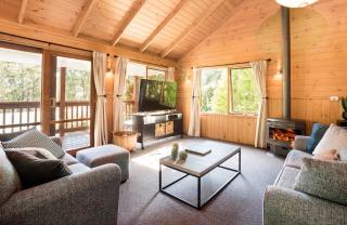Cosy Romantic Lodge, Perfect Couples Getaway - Sassafras - 0