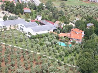 Inviting holiday home in Maida with swimming pool - Maida - 5