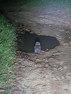 Hacienda las Nubes - 9