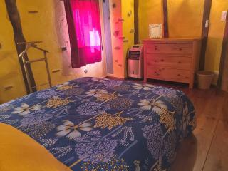 - - - - -Les Colombages - - - - Chambre d'hôtes-Gîte- Classement Gîte 3 étoiles - Mirepoix - 3