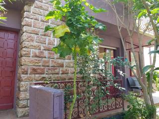 Chambre d'ami 1 personne dans maison bien située, toutes commodités, jardin arboré - Valras-Plage - 0