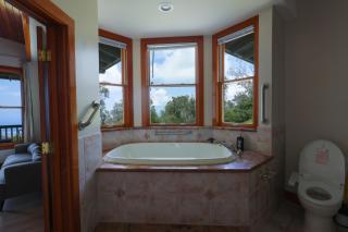 Luxury Oceanview Estate - Holualoa - 6