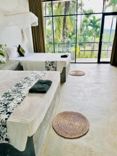 Blue Mountains View - Dambulla - 5