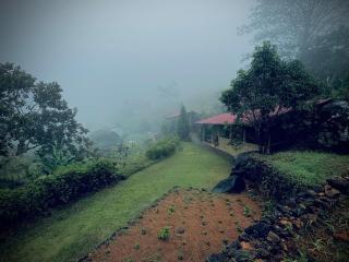 Royal Mountain Edge ,Knuckles - Rangala - 0