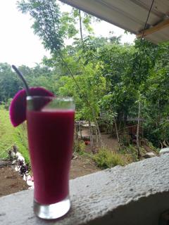 are twin bungalows - Tetebatu - 9