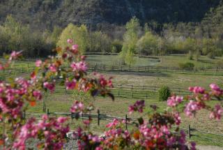 Country House La Cenerara - 14 pers - Groppo Visdomo - 9