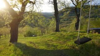 Le Mille Querce - Sassofeltrio - 6