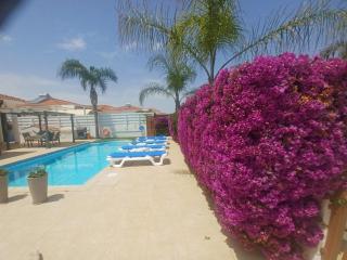 Villa Niki - Ayia Napa - 8