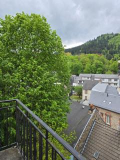 Appartement en RDC, lumineux et spacieux vue sur la montagne - La Bourboule - 3