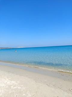 Il Nido 2 di San Pietro - 3