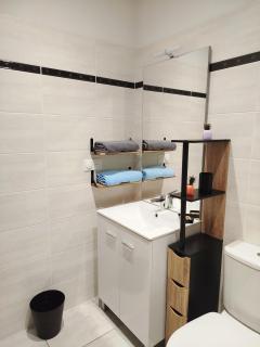 Ax-les-Thermes logement au cœur du centre-ville - Ax-les-Thermes - 1