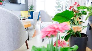 Hotel Rezydencja AS & Spa-Najwyżej w Karpaczu - Karpacz - 3