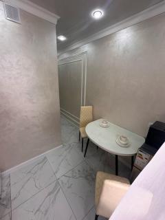 Уютные апартаменты на площади Аль-Фараби-SHYMKENT PLAZA - 4