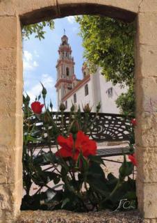 Nest of love in Seville, Casa el Pocito 1 - Peñaflor - 3