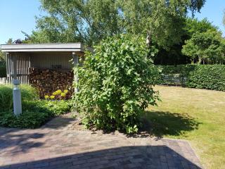 Exkl FH Quäkenpüker, Kamin, W-LAN - Börgerende-Rethwisch - 5