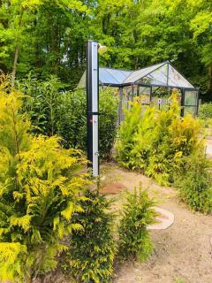 Morning Glory, Huisje vogelzang - 6