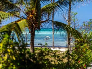 Shanuo Beach Bungalows - Michamvi Kae - 0
