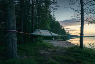 Tentsile Kiparinranta - 1