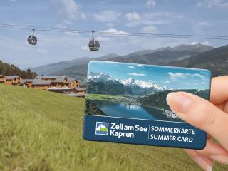 CHALET VILLAGE ZAGLGUT Wellness & Views with Summer Card Included - Kaprun - 8