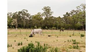 Odyssean Tiny House A by Tiny Away - Cessnock - 7